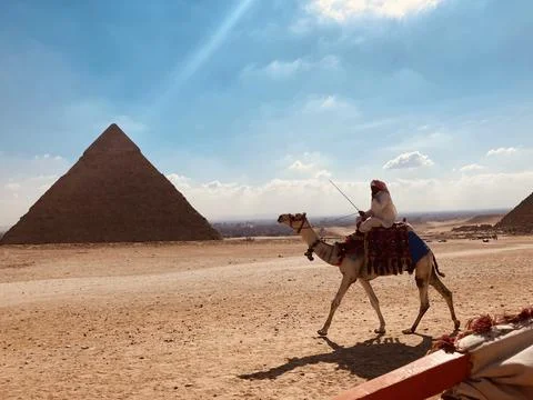 Camel Ride by The Great Pyramids of Giza 库存照片
