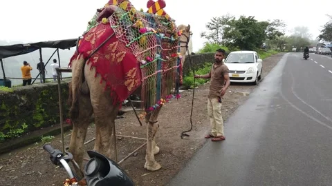 Camel ride at Khandala Video stock 140988563