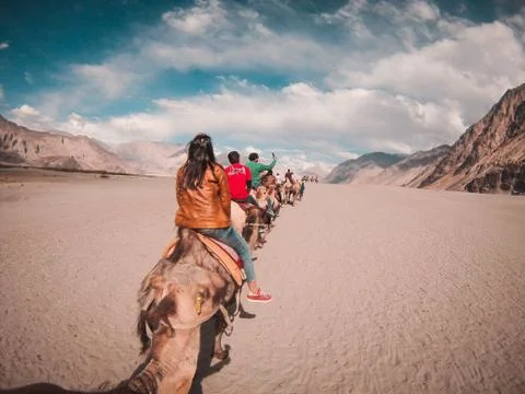 Camel Ride 写真素材