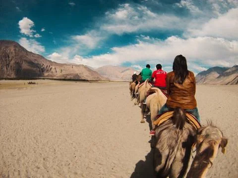 Camel Ride 写真素材