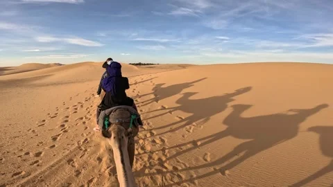 Camel ride in the sahara 스톡 동영상 256306754