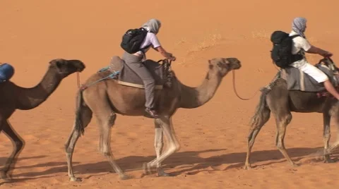 Camel ride in Sahara, Morocco Stock Footage