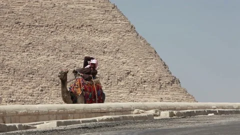 A Camel rider lays down on the Camel in front of a Pyramid in Egypt Stock Footage 208679385