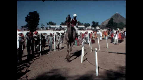 Camel Rider at Pushkar Fair Stock Footage 276293271