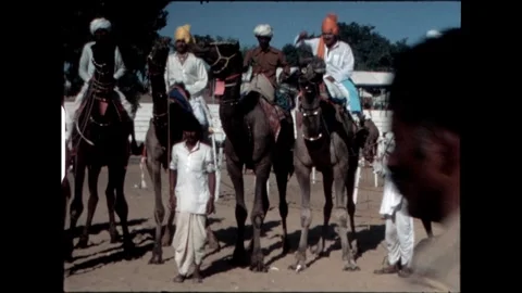Camel Riders and Trainers Stock Footage 276293282