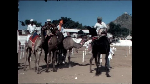 Camel Riders Gathering Video stock 276293288