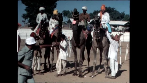 Camel Riders in Line Video stock 276293280