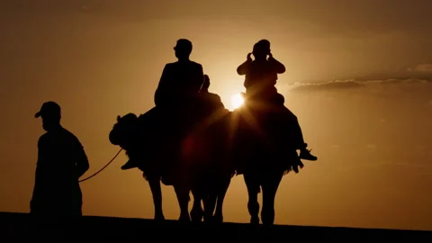 Camel riding, Dubai Video stock 220074907