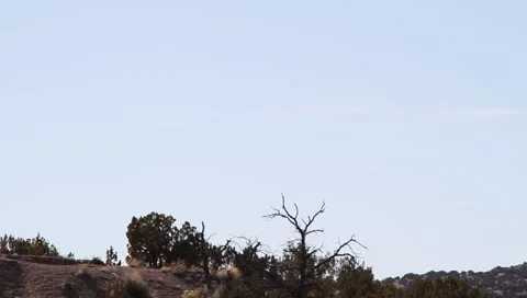 Camel Rock Monument Video stock 1040381