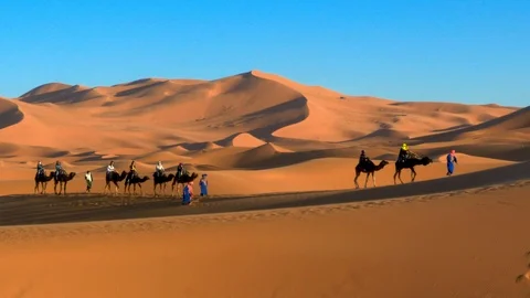 Camel row at Erg Chebbi, Morocco Stock Footage 95248499
