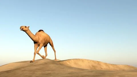 Camel running - 3D render Stock Illustration