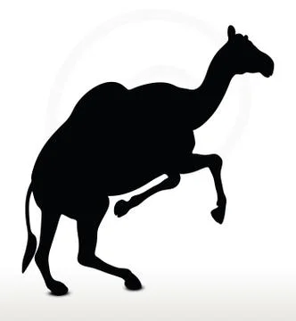 Camel in Running pose Illustrazione stock