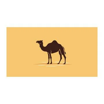 Camel silhouette in desert flat vector illustration with a brown camel standi Stock Illustration