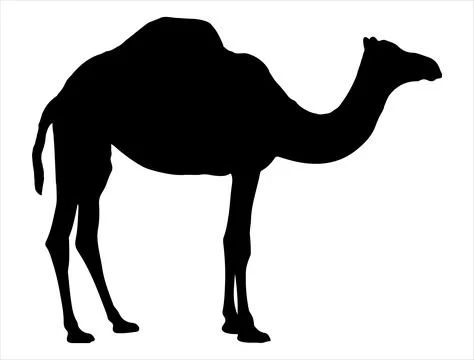 Camel silhouette vector art Stock Illustration