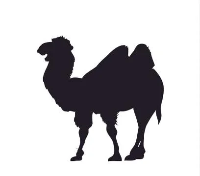 Camel, silhouette, vector Stock Illustration