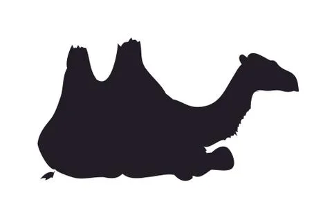 Camel silhouette vector Stock Illustration