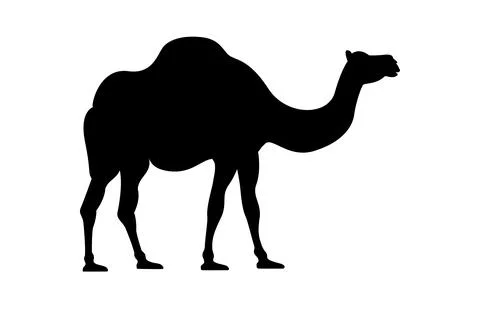 Camel silhouette vector illustration Stock Illustration