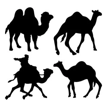 Camel silhouette vector for websites, graphics related artwork Stock Illustration