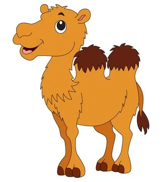 A camel smiling on a white background Stock Illustration