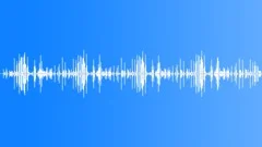 CAMEL Sound Effect