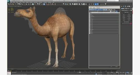 3D Model: Camel Standing Pose ~ Buy Now #91024627 | Pond5