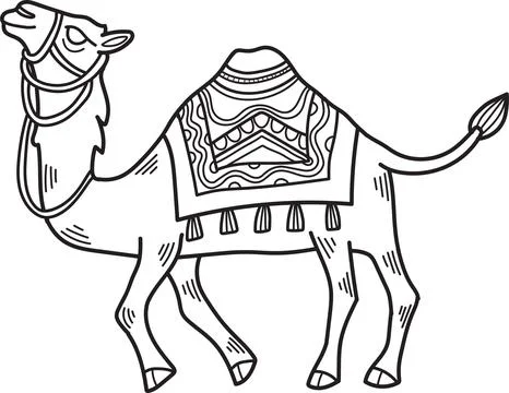 A camel is standing with a saddle on its back Stock Illustration