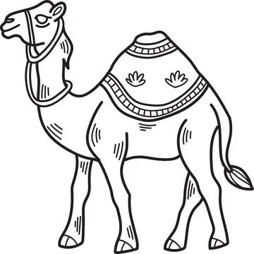 A camel is standing with a saddle on its back Stock Illustration