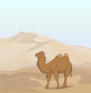 Camel stands in the desert Illustrazione stock