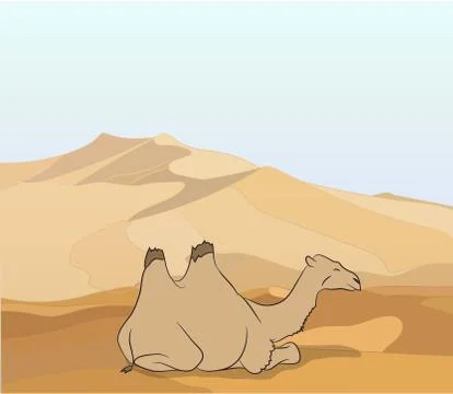 Camel stands in the desert Stock Illustration