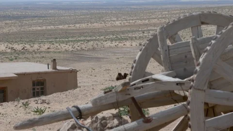 A camel stands at an old hut in the desert, an ancient cart. Stock Footage 125806447