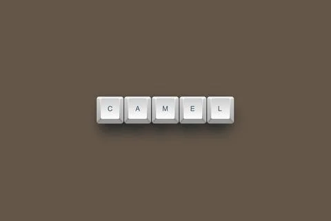 Camel text on a 3d keyboard button with shadow concept series Иллюстрация
