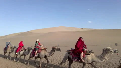 Camel tourism in the desert Stock Footage 166376483