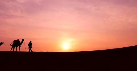 Camel Trader in Thar Desert. Stock-Footage 59159328