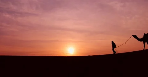 Camel Trader in Thar Desert. Stock-Footage 59159667
