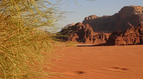 Camel train with Bedouin driver moves across the vast desert landscapes of Wadi Stock Footage 34415865