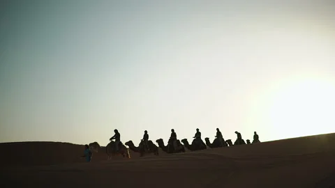 A camel train on the desert. Camel caravan Stock-Footage 141605709
