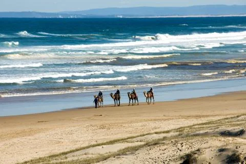 Camel Train Stock Photos