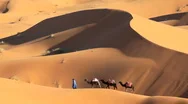 Camel Train Traveling Across The Sahara Desert, Morocco, Africa Stock Footage