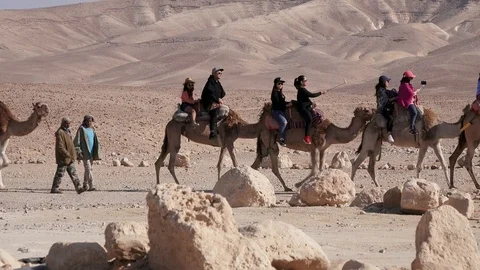 Camel trip in the desert Stock Footage 102619277