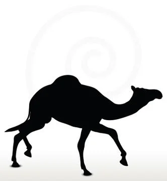Camel in Trotting pose Stock Illustration
