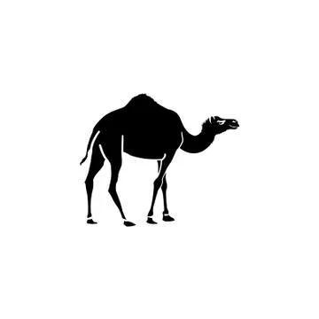 Camel vector icon black on white background Illustrazione stock