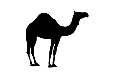 Camel vector illustration design, silhouette camel with black colour Stock Illustration