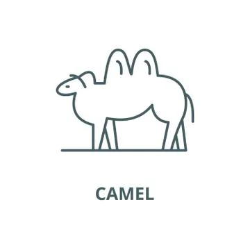 Camel vector line icon, linear concept, outline sign, symbol Illustrazione stock