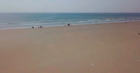 Camel walking on the beach Stock Footage 92241746