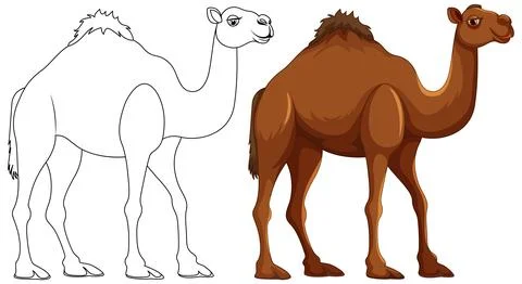 Camel Walking Outline Illustrazione stock