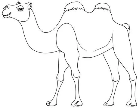 Camel Walking Outline Illustrazione stock