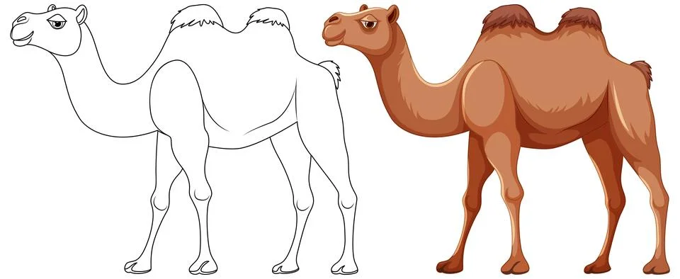 Camel Walking Outline Illustrazione stock