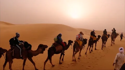Camel walking through desert in tourists group. 스톡 동영상 270764169