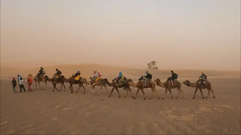 Camel walking through desert in tourists group. 스톡 동영상 270765616