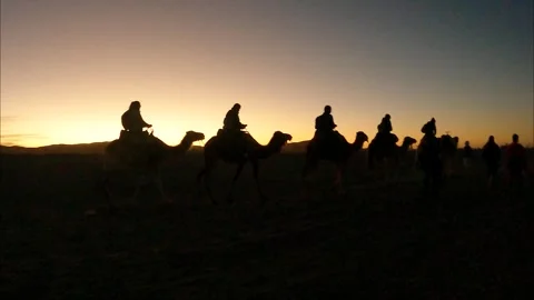 Camel walking through desert in tourists group. 스톡 동영상 270766894
